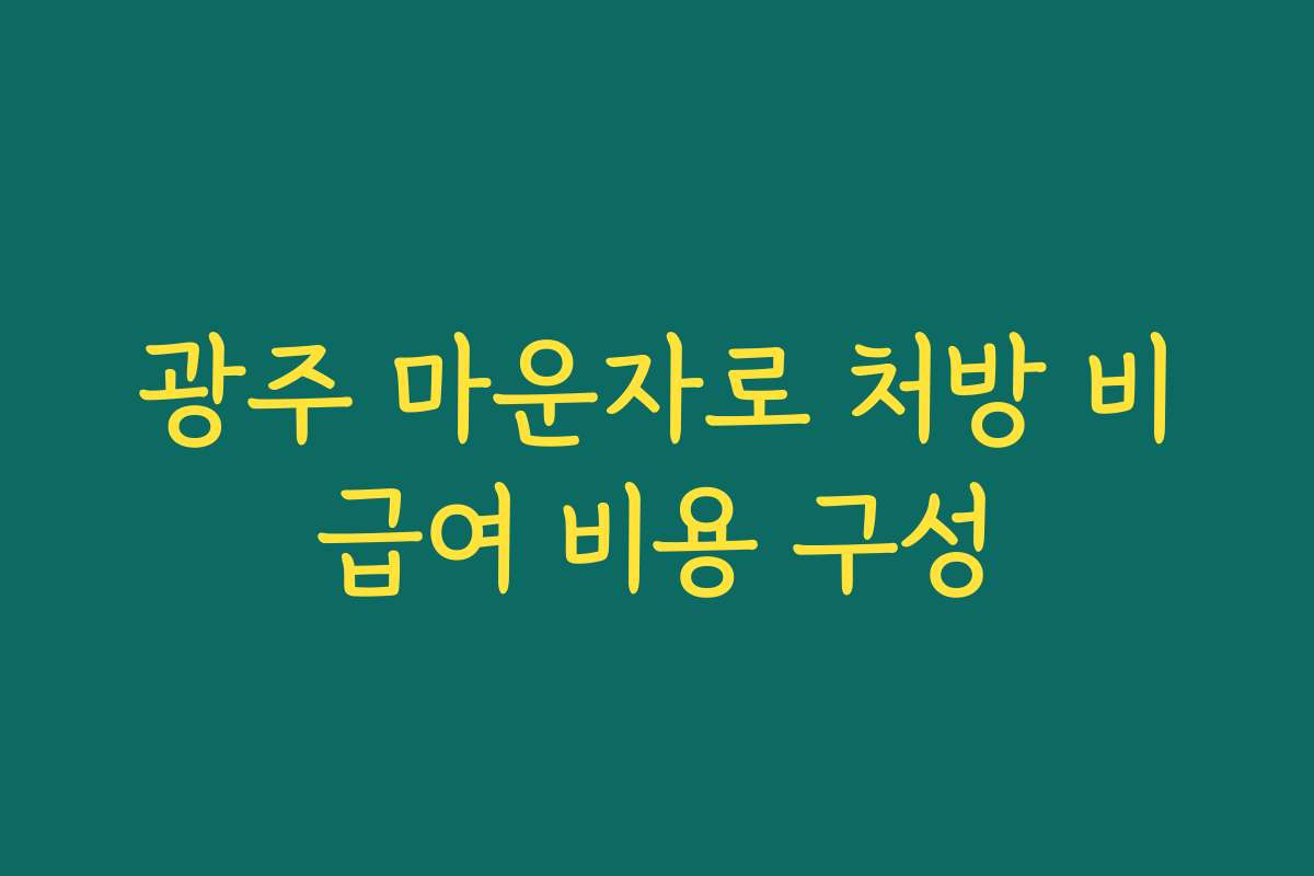 광주 마운자로 처방 비급여 비용 구성