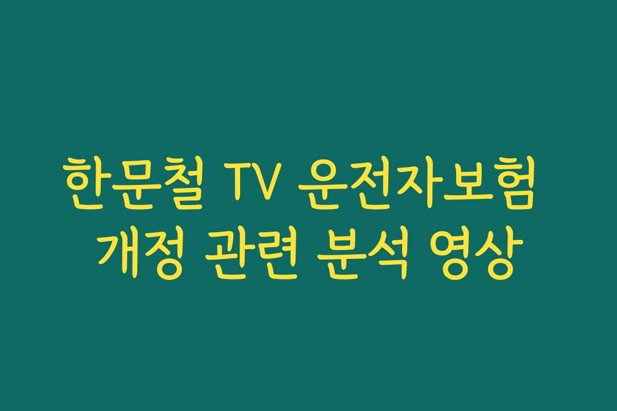 한문철 TV 운전자보험 개정 관련 분석 영상