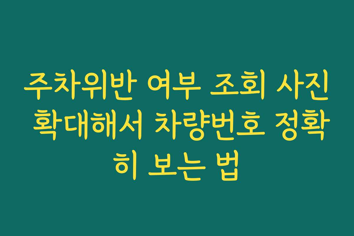 주차위반 여부 조회 사진 확대해서 차량번호 정확히 보는 법