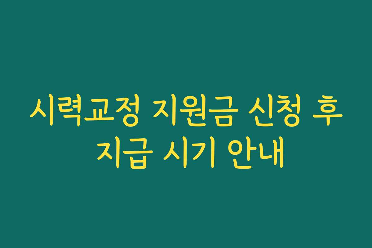 시력교정 지원금 신청 후 지급 시기 안내