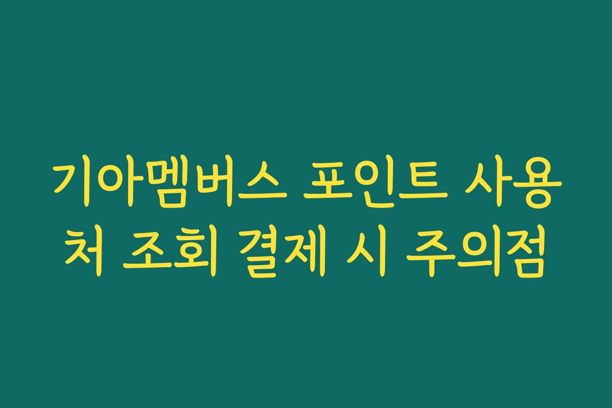 기아멤버스 포인트 사용처 조회 결제 시 주의점