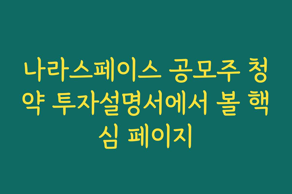 나라스페이스 공모주 청약 투자설명서에서 볼 핵심 페이지