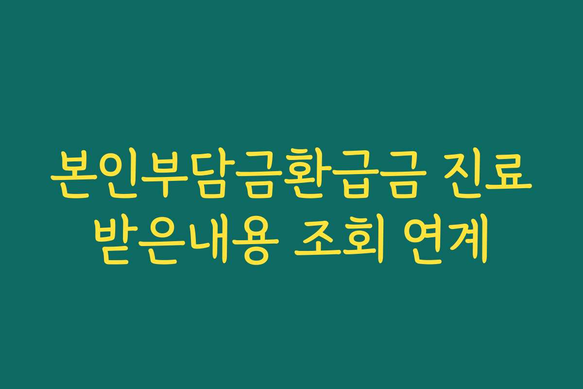 본인부담금환급금 진료받은내용 조회 연계
