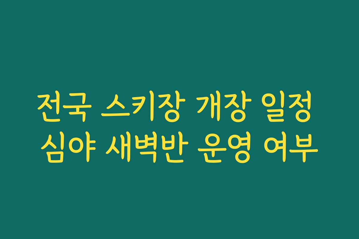 전국 스키장 개장 일정 심야 새벽반 운영 여부