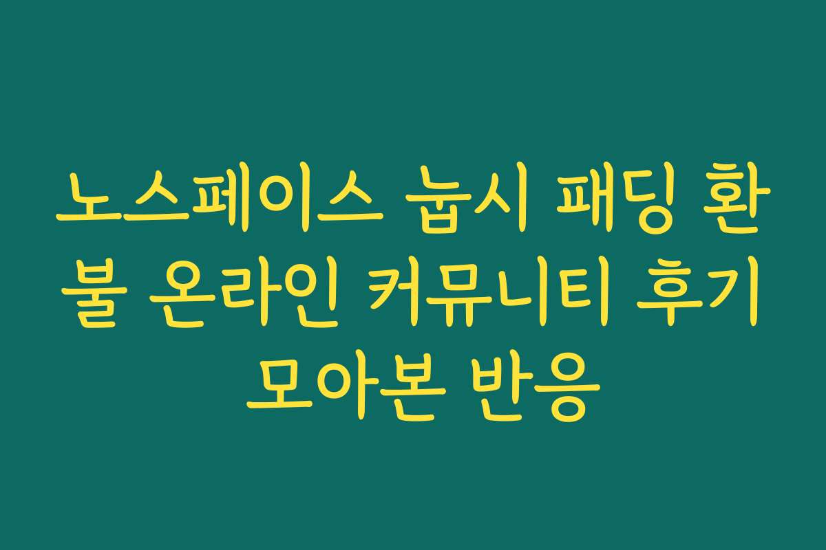 노스페이스 눕시 패딩 환불 온라인 커뮤니티 후기 모아본 반응