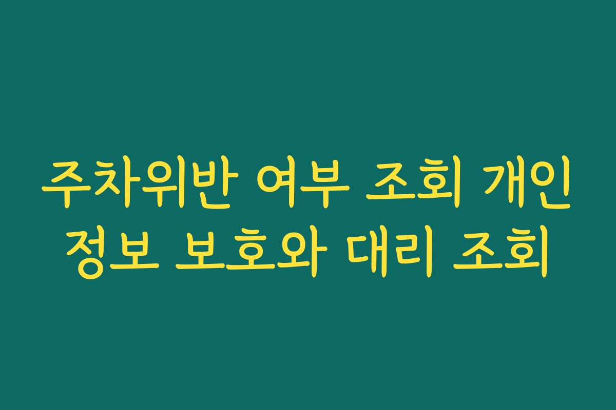 주차위반 여부 조회 개인정보 보호와 대리 조회