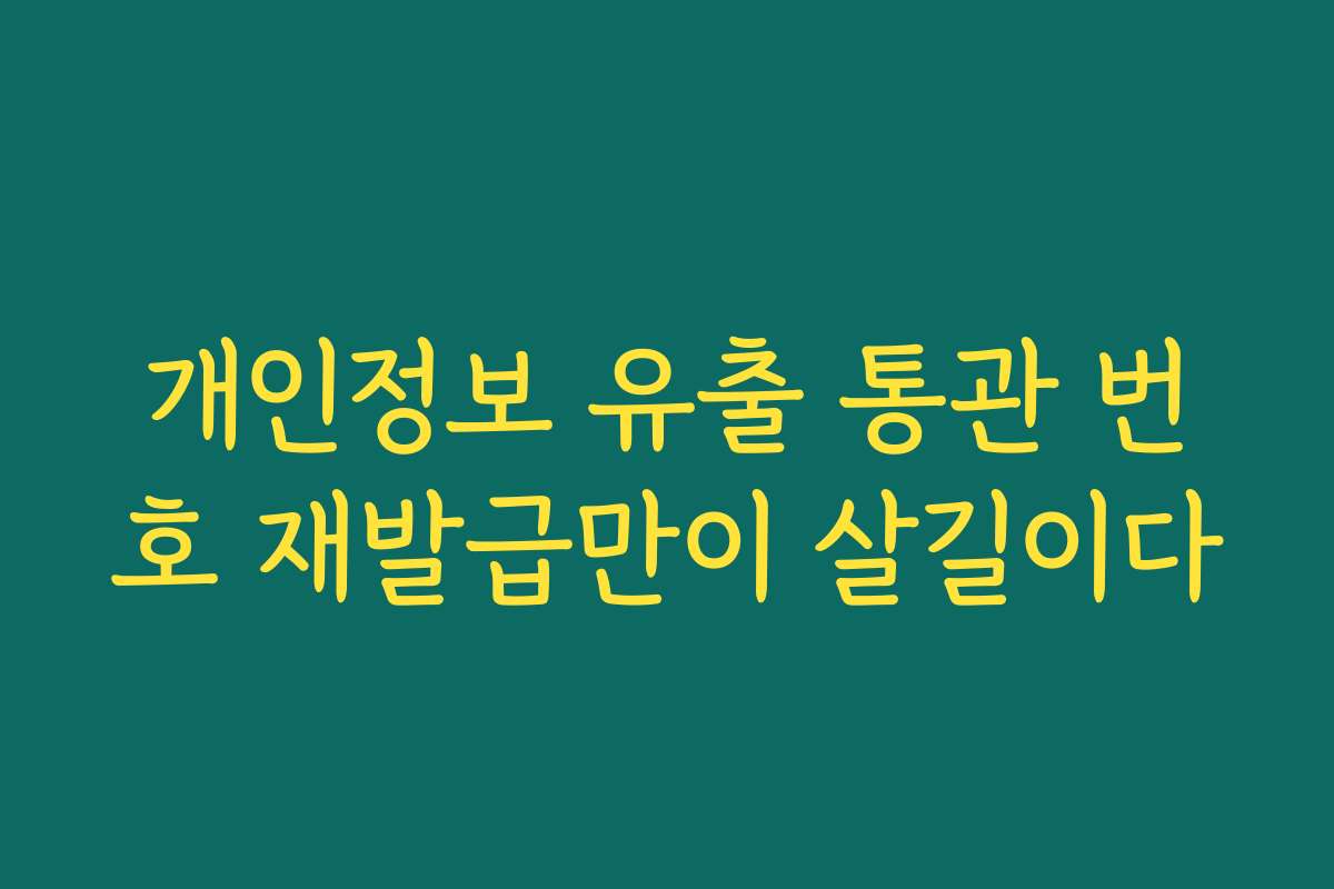 개인정보 유출 통관 번호 재발급만이 살길이다