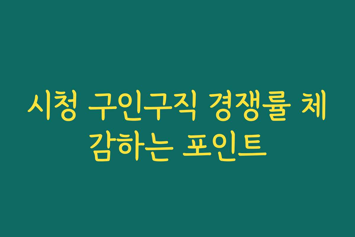 시청 구인구직 경쟁률 체감하는 포인트