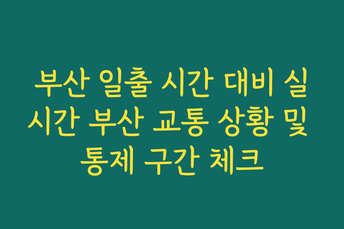 부산 일출 시간 대비 실시간 부산 교통 상황 및 통제 구간 체크