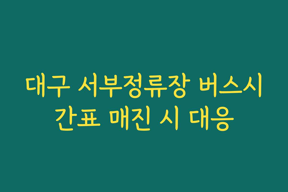 대구 서부정류장 버스시간표 매진 시 대응