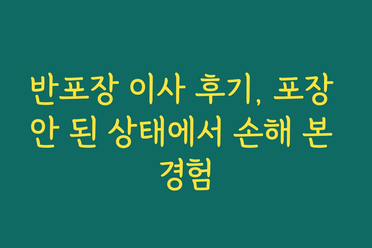 반포장 이사 후기, 포장 안 된 상태에서 손해 본 경험