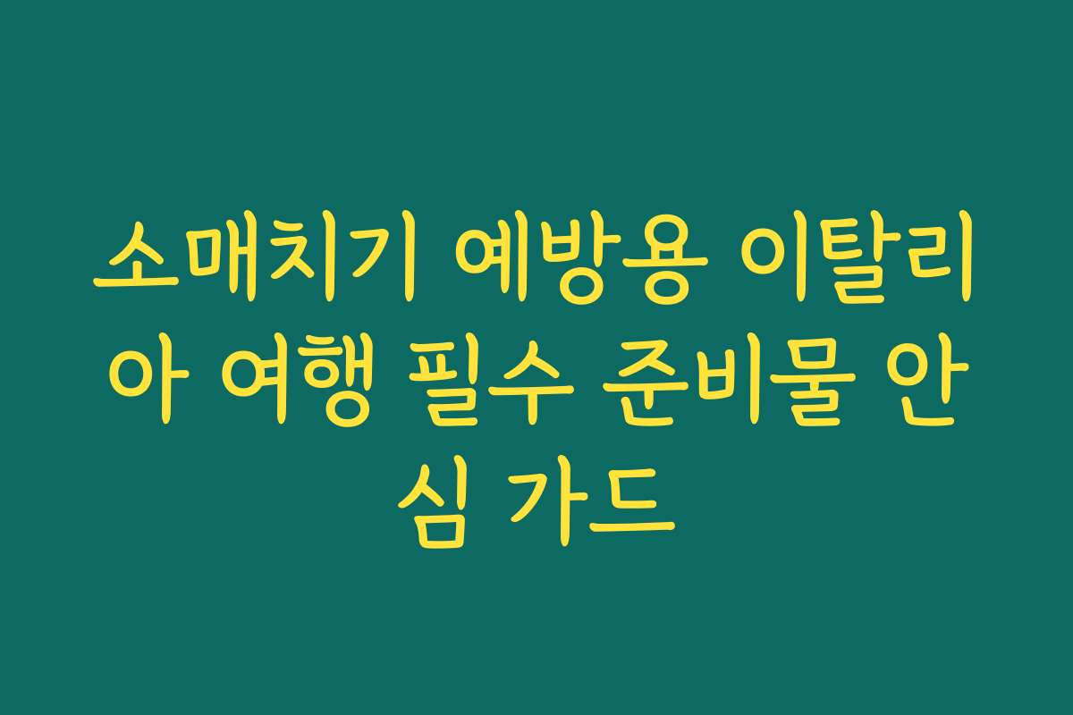 소매치기 예방용 이탈리아 여행 필수 준비물 안심 가드