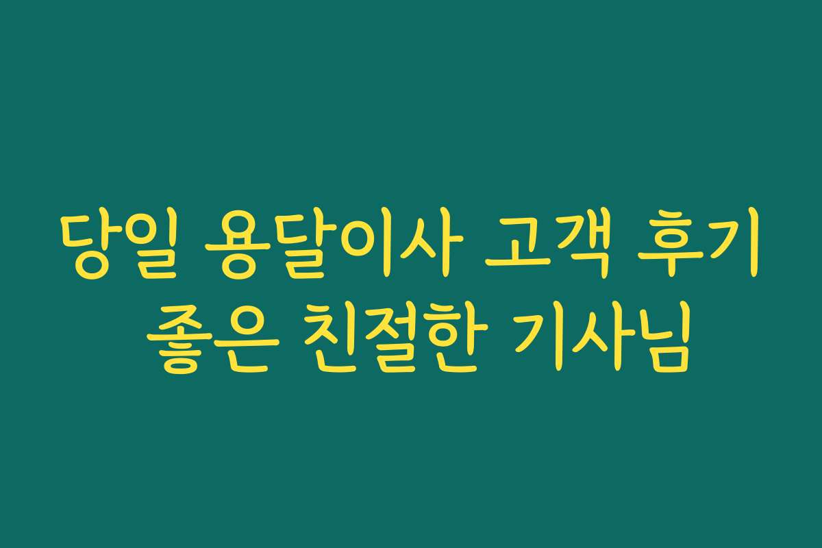 당일 용달이사 고객 후기 좋은 친절한 기사님