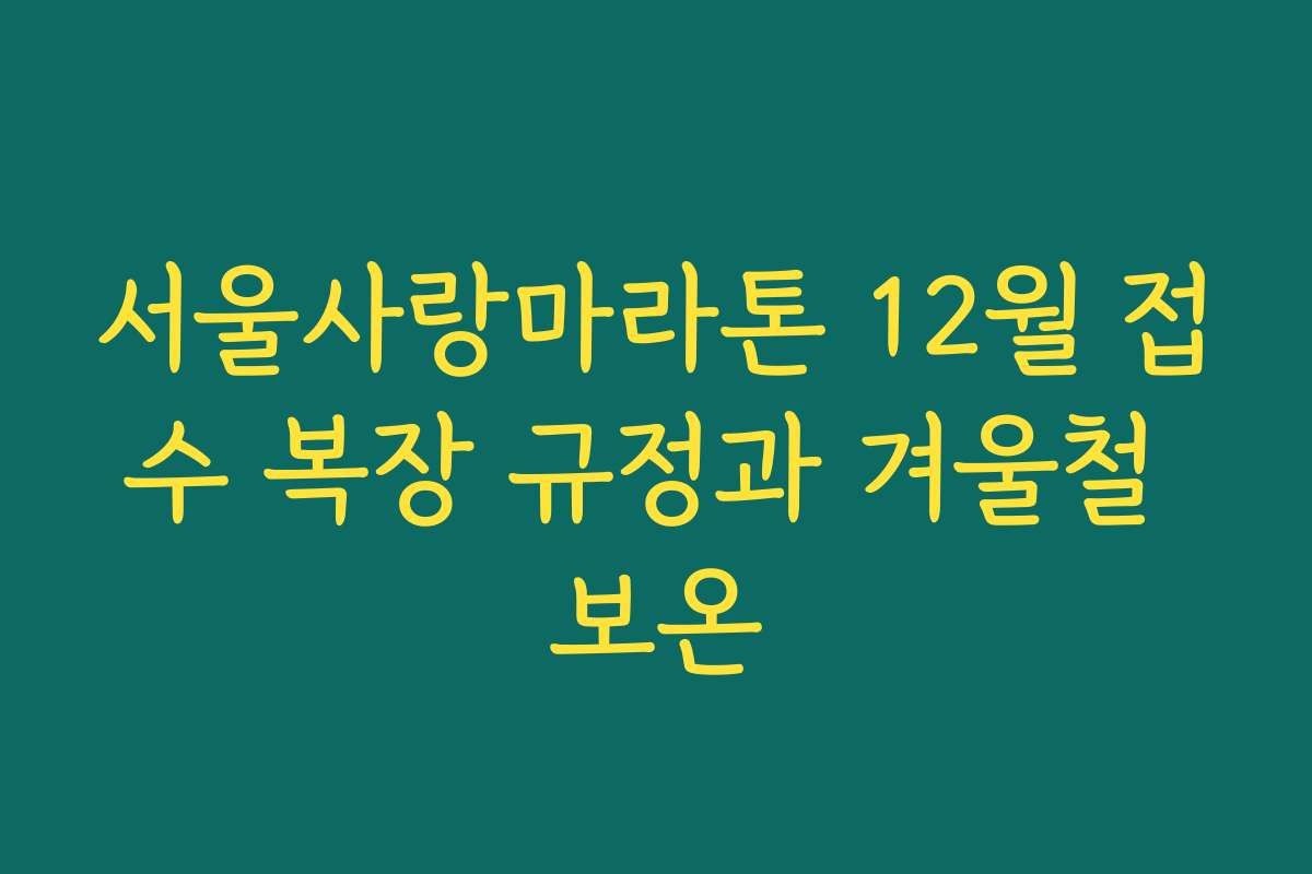 서울사랑마라톤 12월 접수 복장 규정과 겨울철 보온