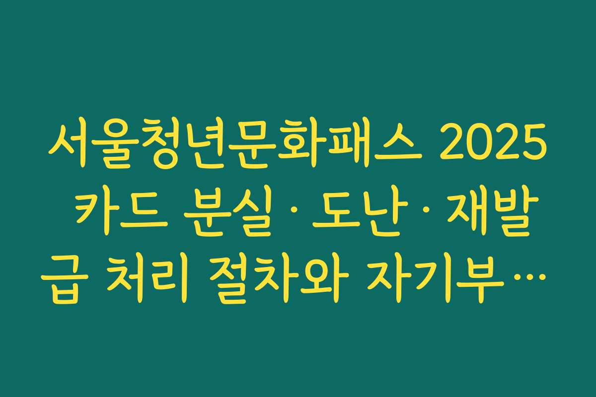 서울청년문화패스 2025 카드 분실·도난·재발급 처리 절차와 자기부담금 여부 안내