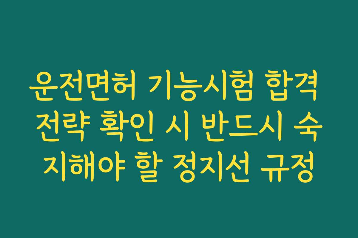운전면허 기능시험 합격 전략 확인 시 반드시 숙지해야 할 정지선 규정