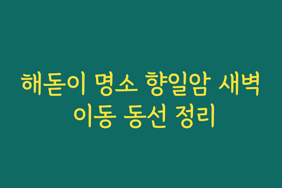 해돋이 명소 향일암 새벽 이동 동선 정리