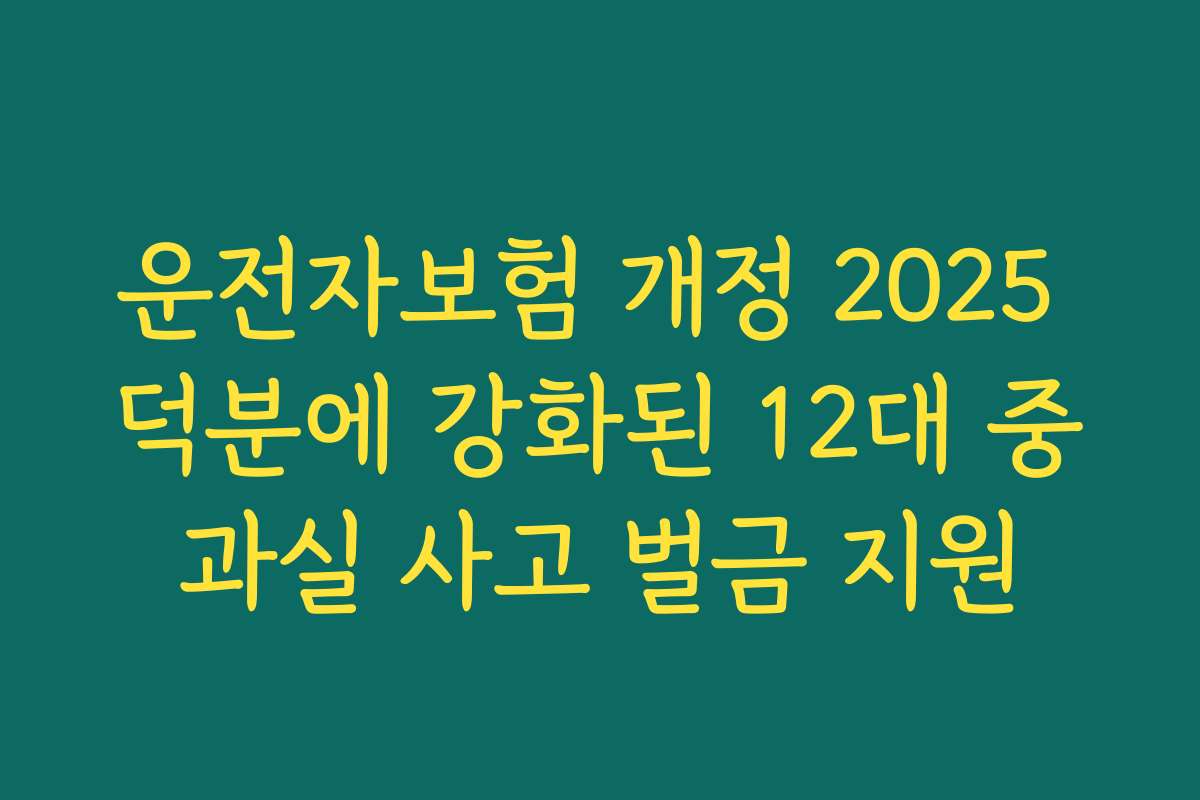 운전자보험 개정 2025 덕분에 강화된 12대 중과실 사고 벌금 지원
