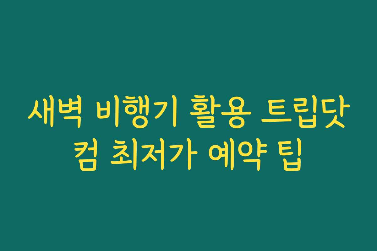 새벽 비행기 활용 트립닷컴 최저가 예약 팁