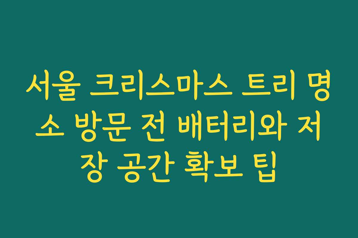서울 크리스마스 트리 명소 방문 전 배터리와 저장 공간 확보 팁