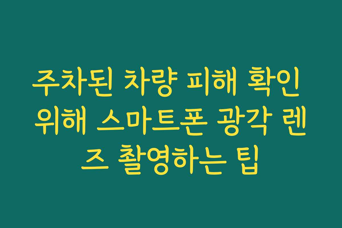 주차된 차량 피해 확인 위해 스마트폰 광각 렌즈 촬영하는 팁