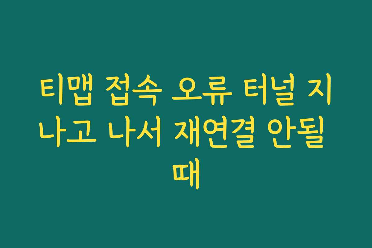 티맵 접속 오류 터널 지나고 나서 재연결 안될 때