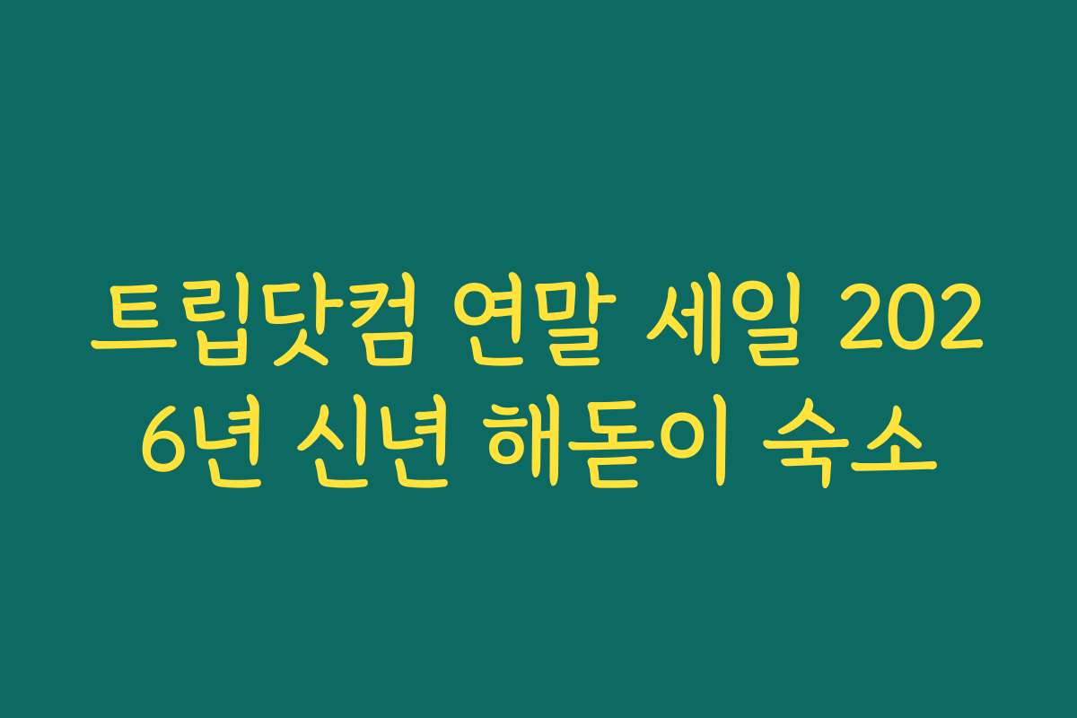 트립닷컴 연말 세일 2026년 신년 해돋이 숙소
