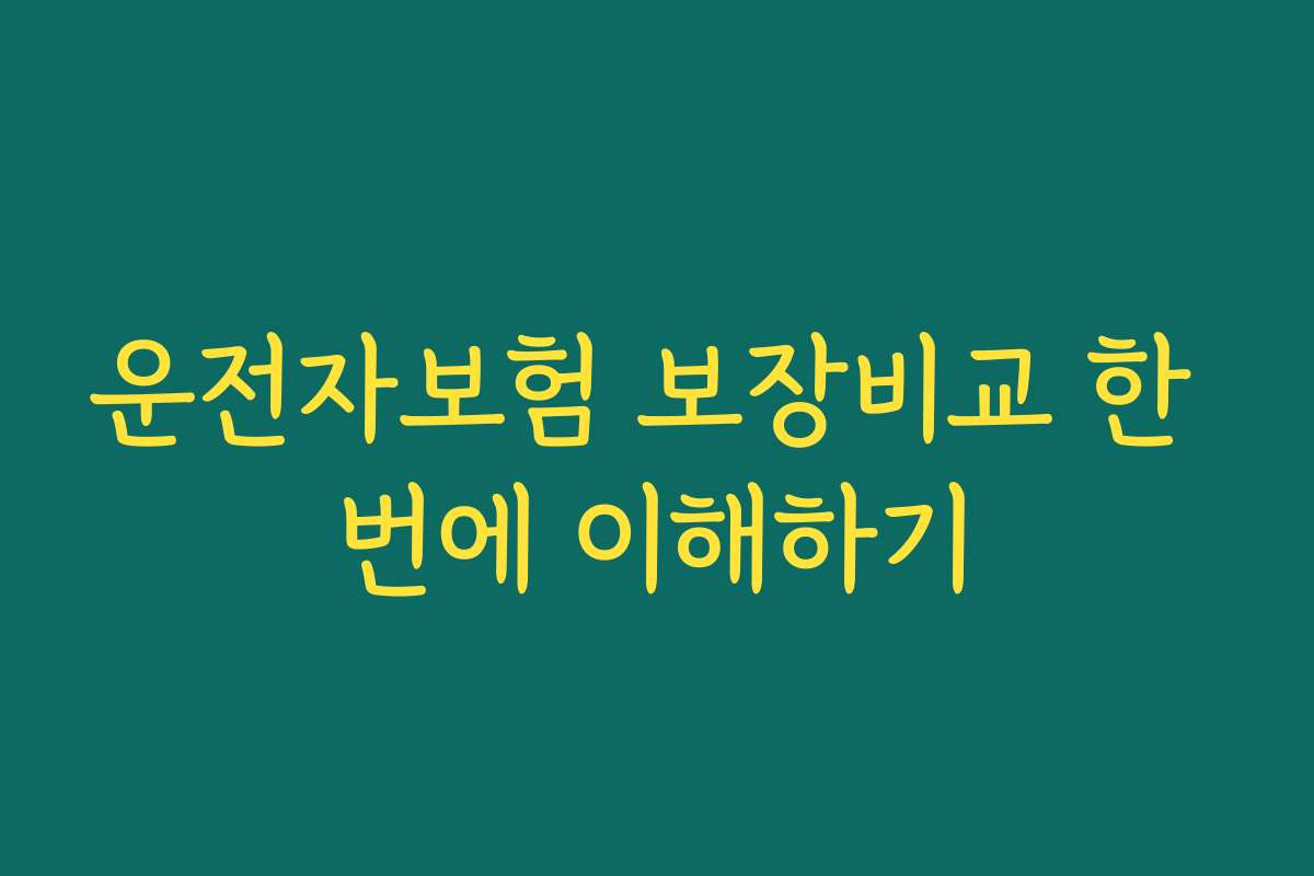 운전자보험 보장비교 한 번에 이해하기
