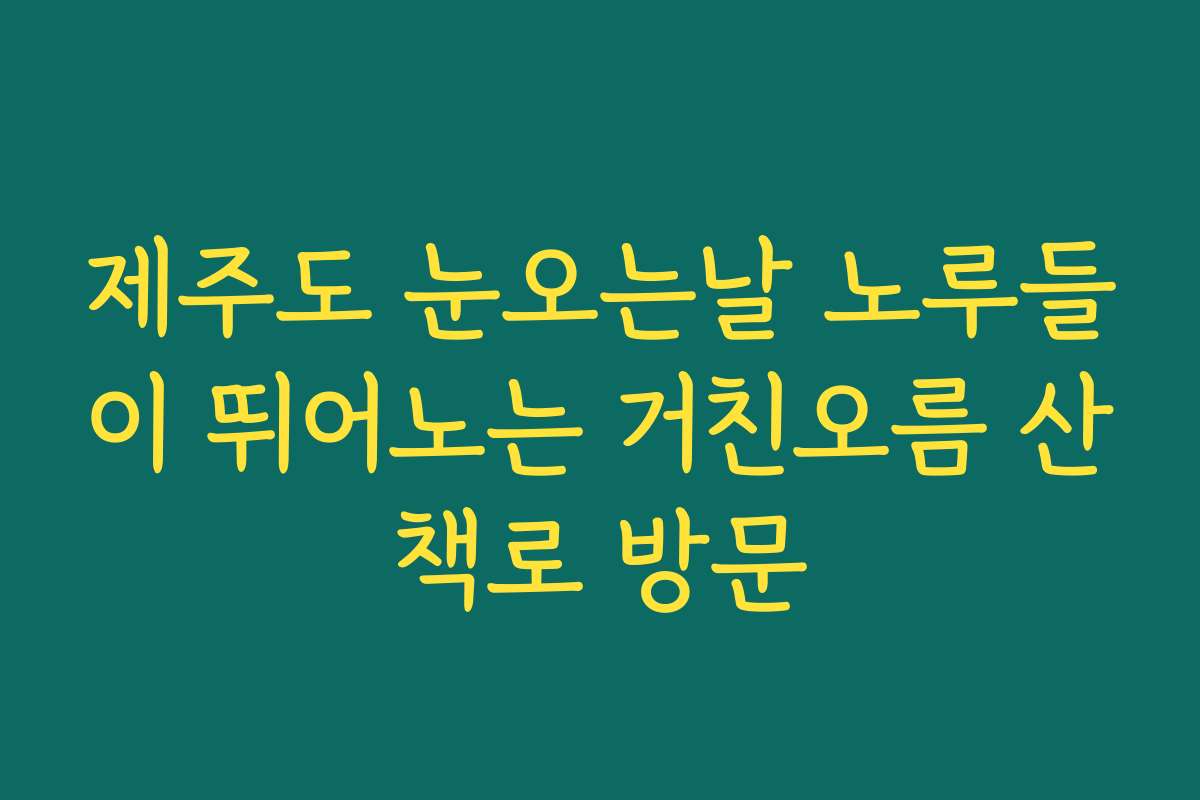 제주도 눈오는날 노루들이 뛰어노는 거친오름 산책로 방문