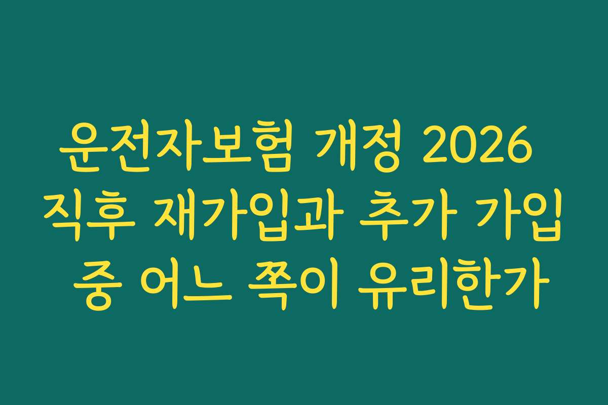 운전자보험 개정 2026 직후 재가입과 추가 가입 중 어느 쪽이 유리한가