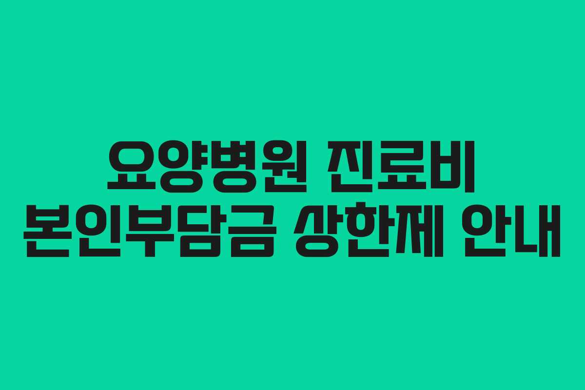 요양병원 진료비 본인부담금 상한제 안내