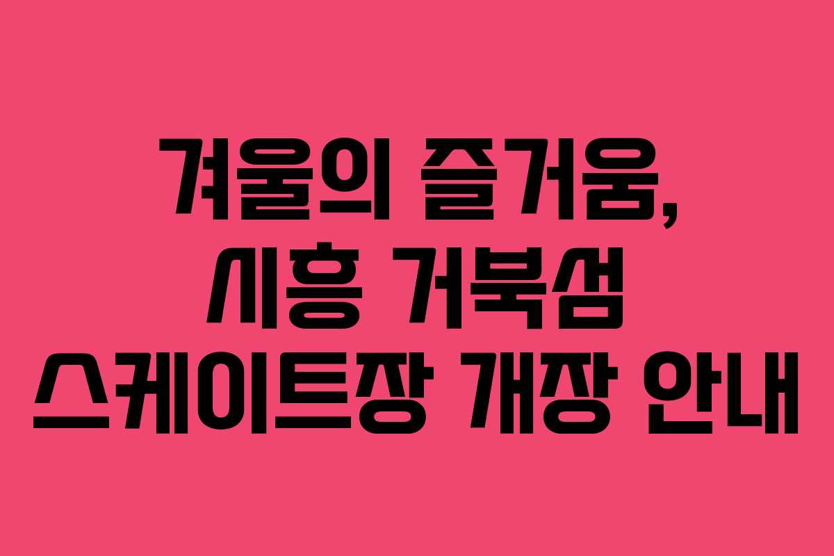 겨울의 즐거움, 시흥 거북섬 스케이트장 개장 안내