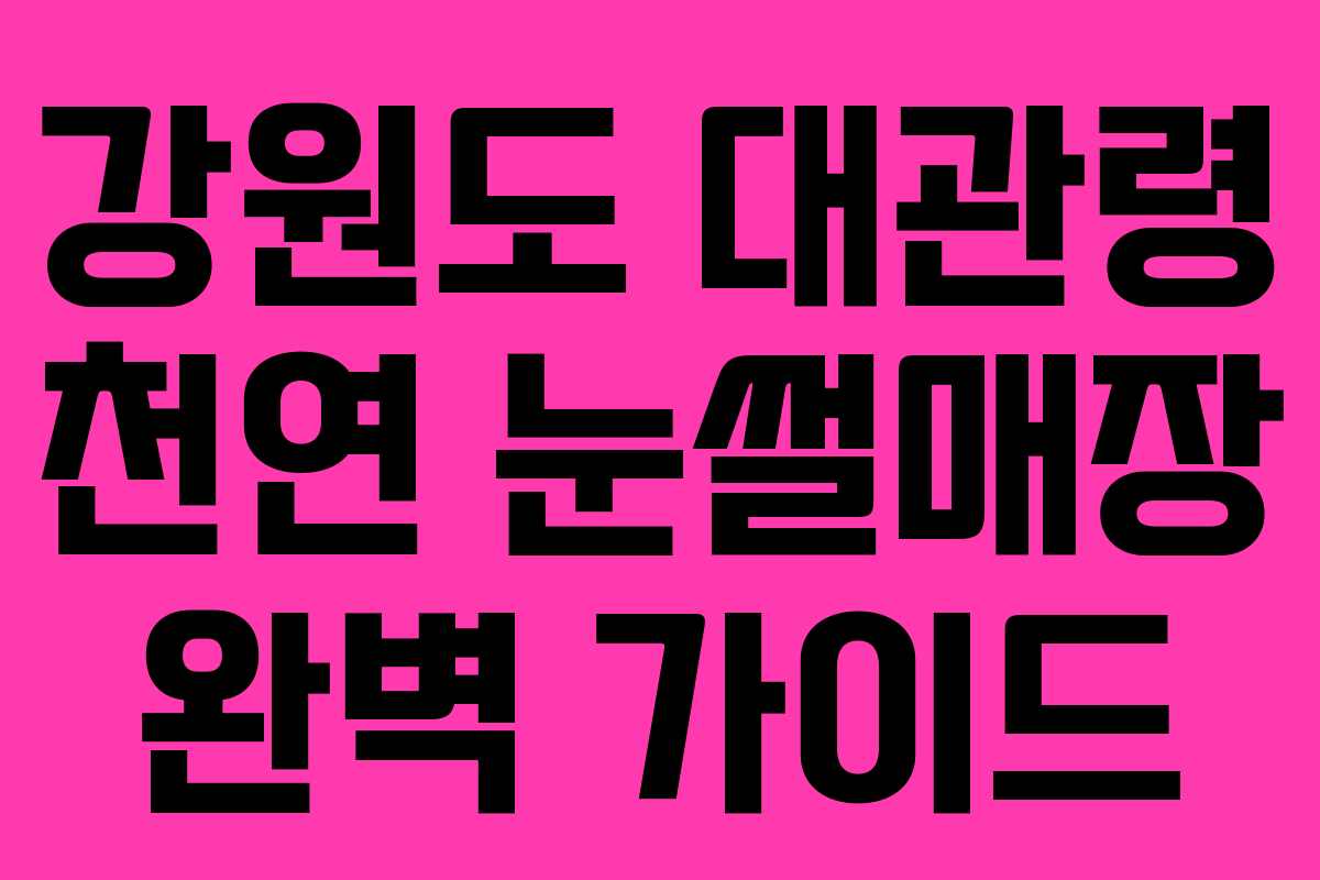 강원도 대관령 천연 눈썰매장 완벽 가이드