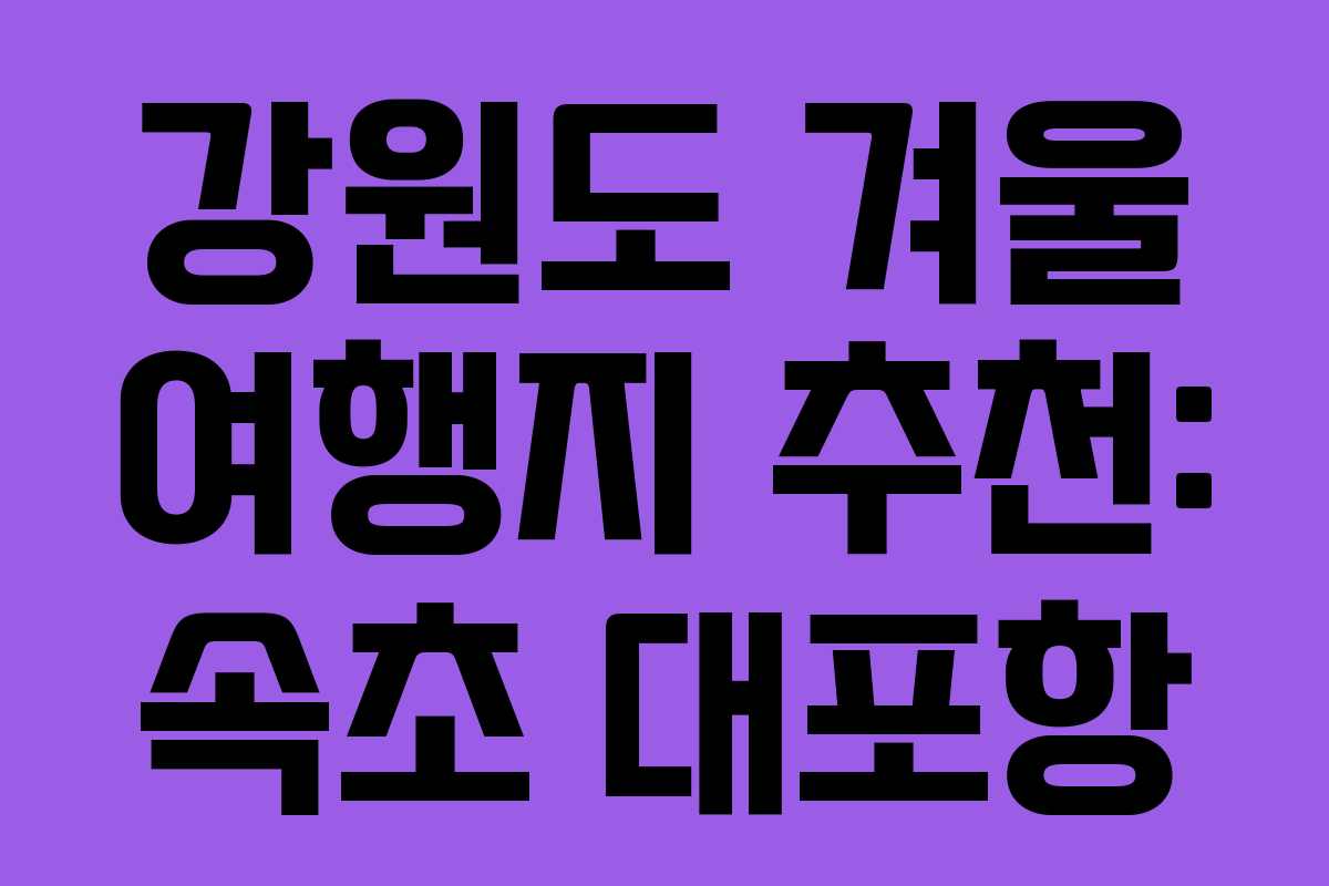 강원도 겨울 여행지 추천: 속초 대포항
