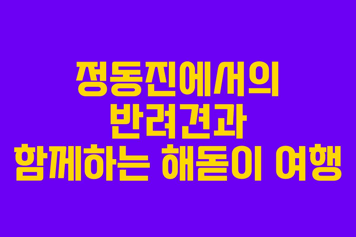 정동진에서의 반려견과 함께하는 해돋이 여행
