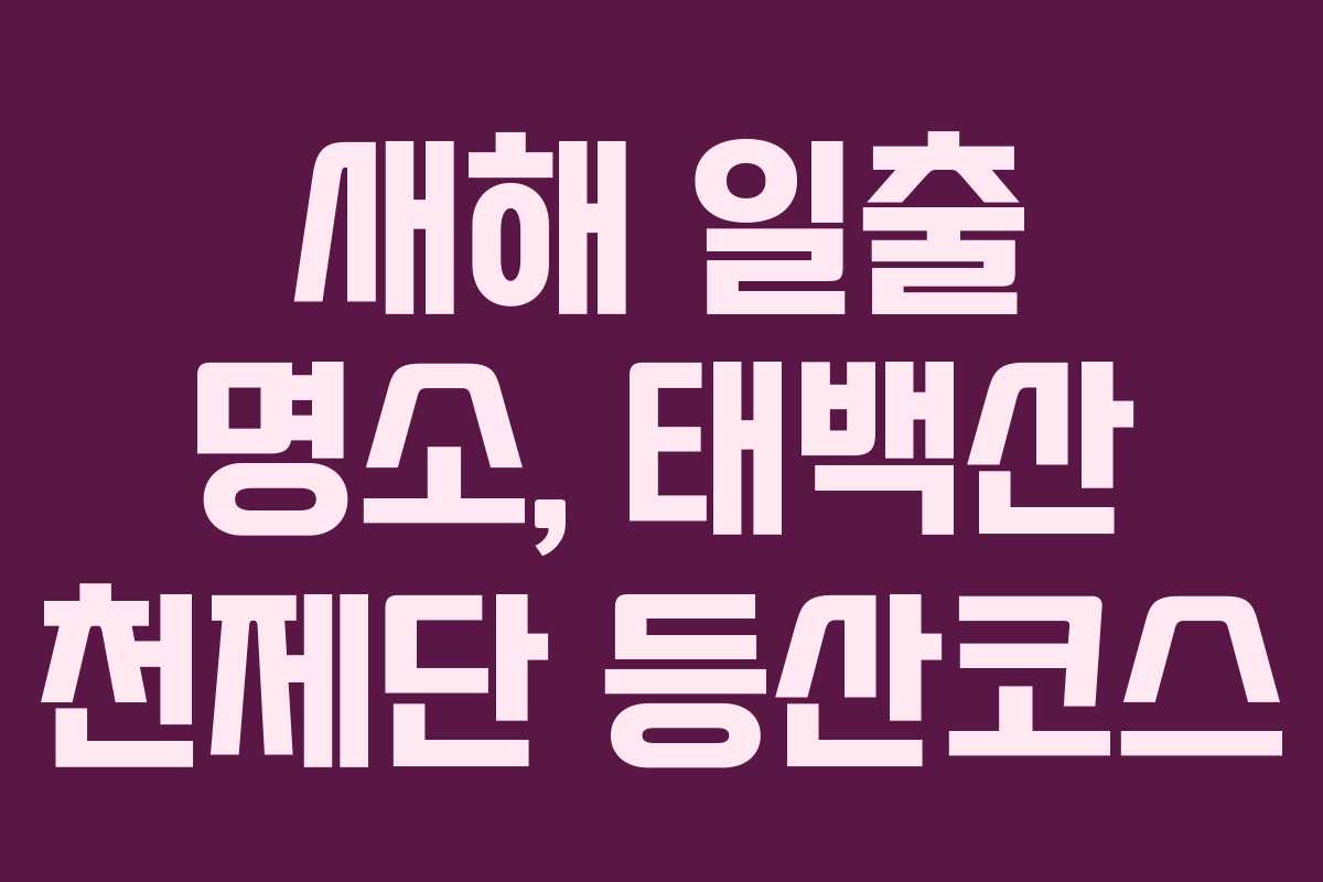 새해 일출 명소, 태백산 천제단 등산코스