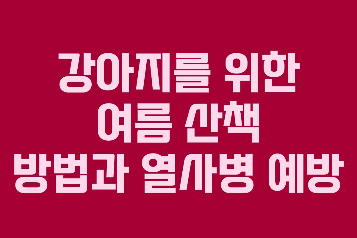 강아지를 위한 여름 산책 방법과 열사병 예방