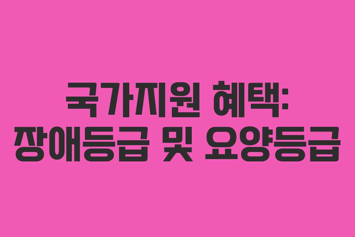 국가지원 혜택: 장애등급 및 요양등급