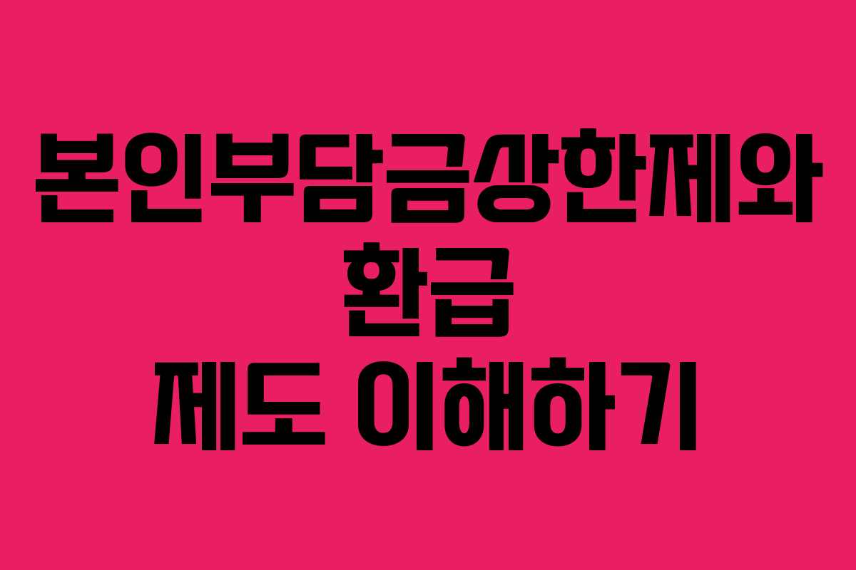 본인부담금상한제와 환급 제도 이해하기