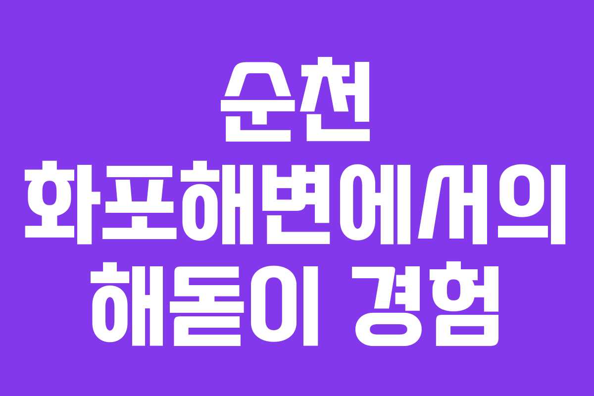 순천 화포해변에서의 해돋이 경험