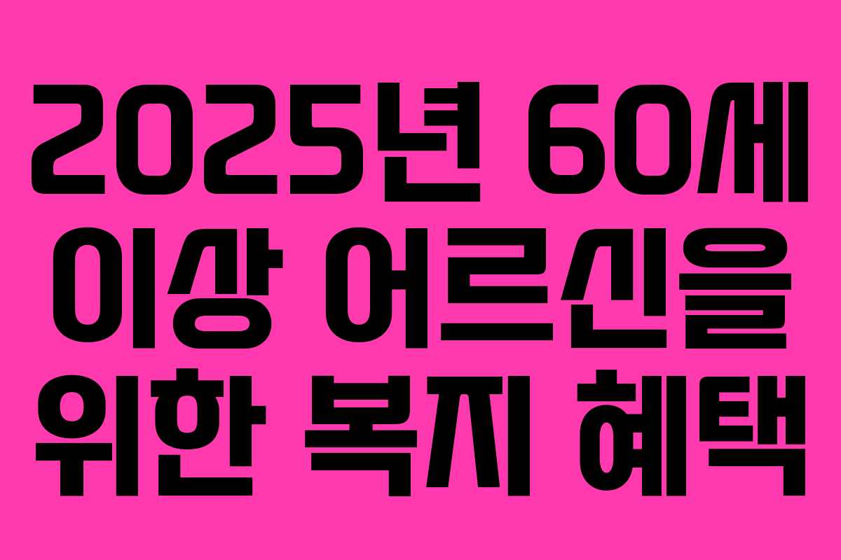 2025년 60세 이상 어르신을 위한 복지 혜택