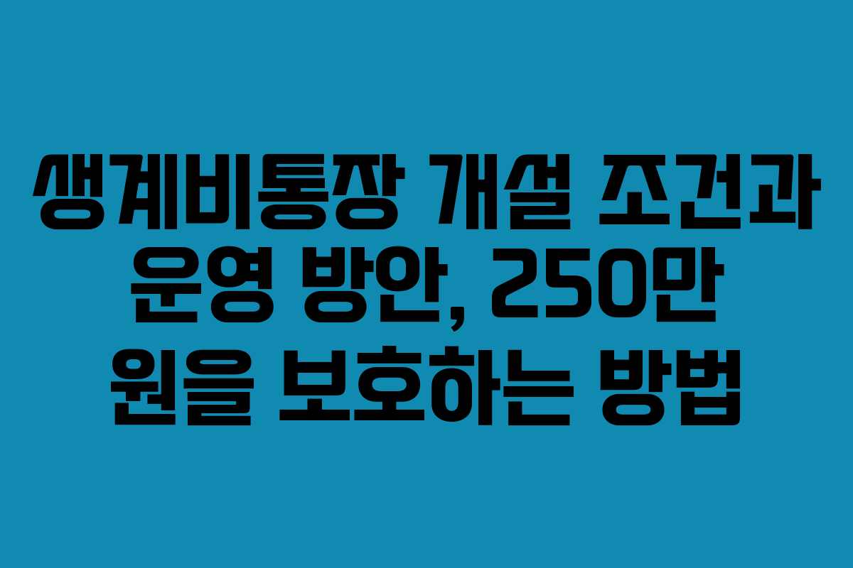 생계비통장 개설 조건과 운영 방안, 250만 원을 보호하는 방법
