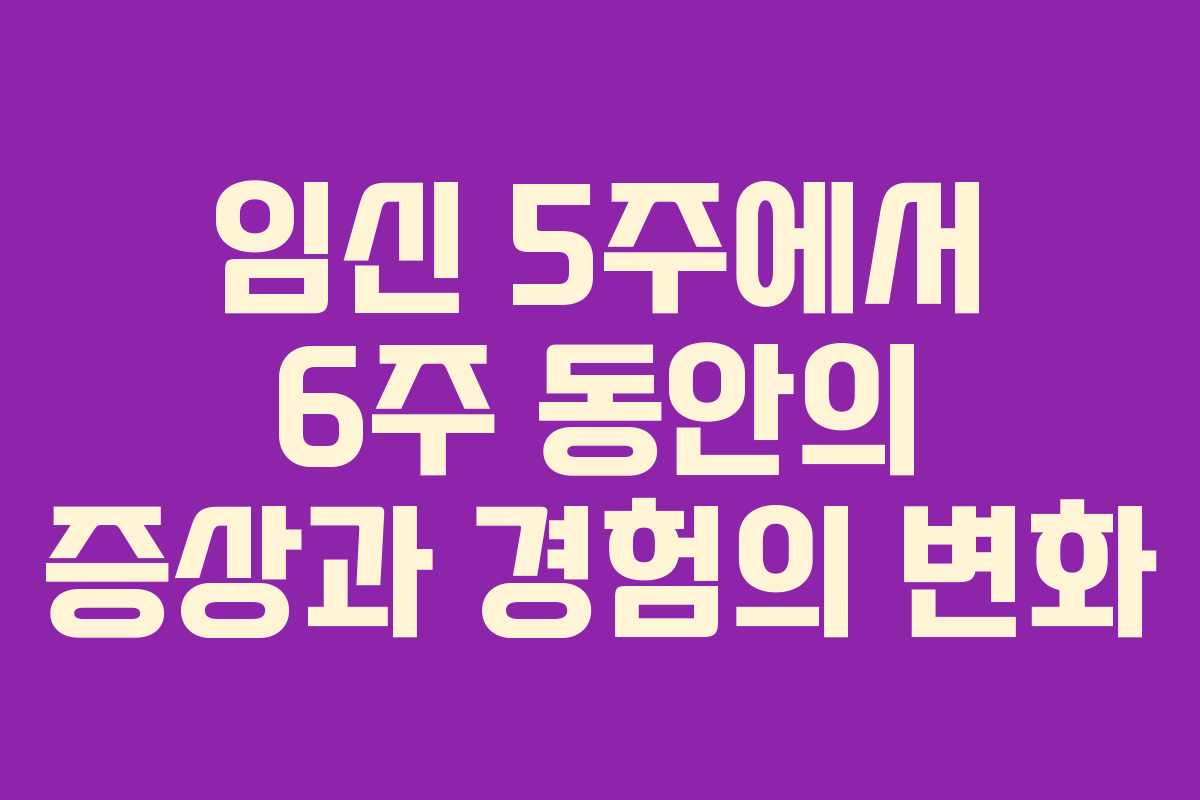 임신 5주에서 6주 동안의 증상과 경험의 변화