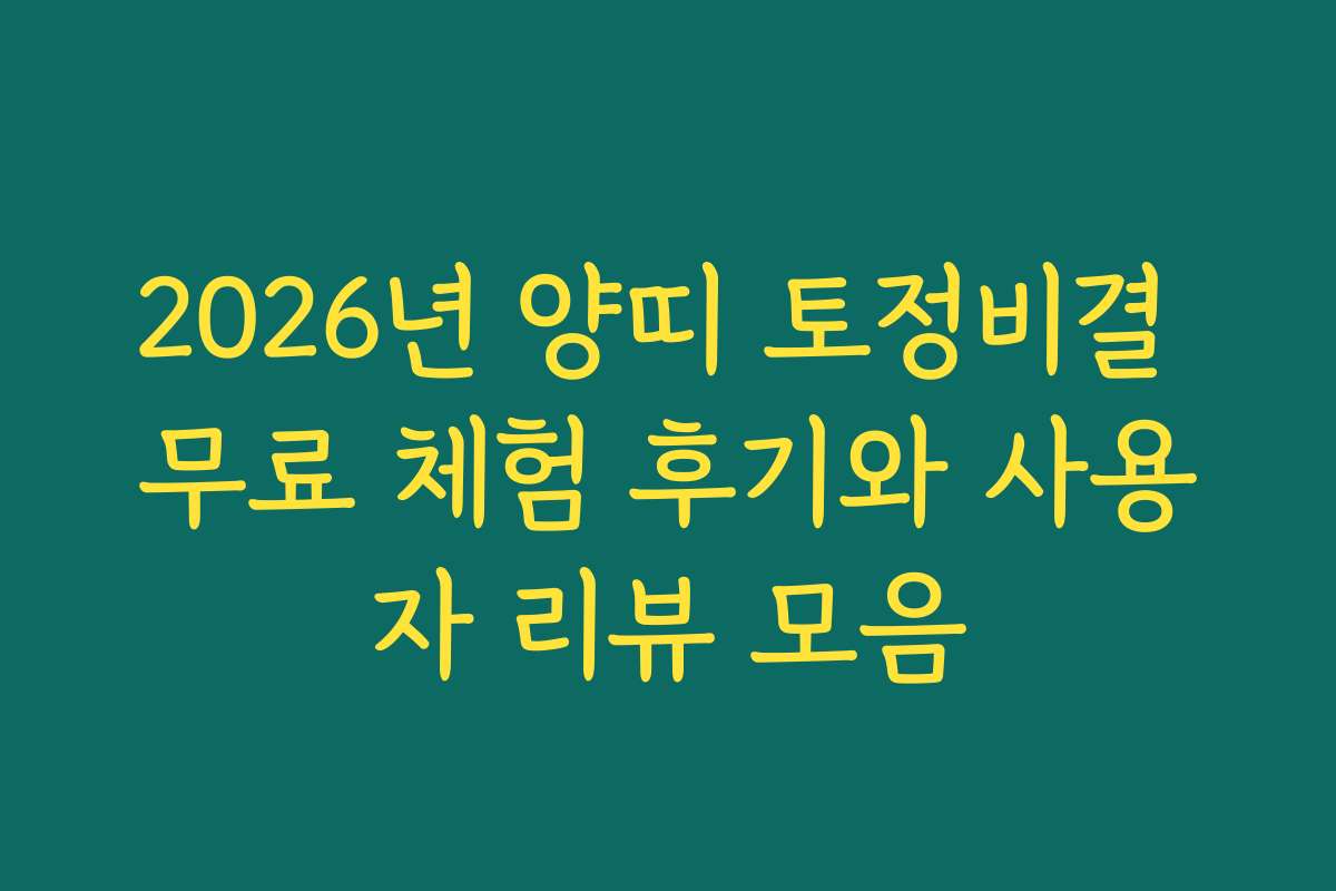 2026년 양띠 토정비결 무료 체험 후기와 사용자 리뷰 모음