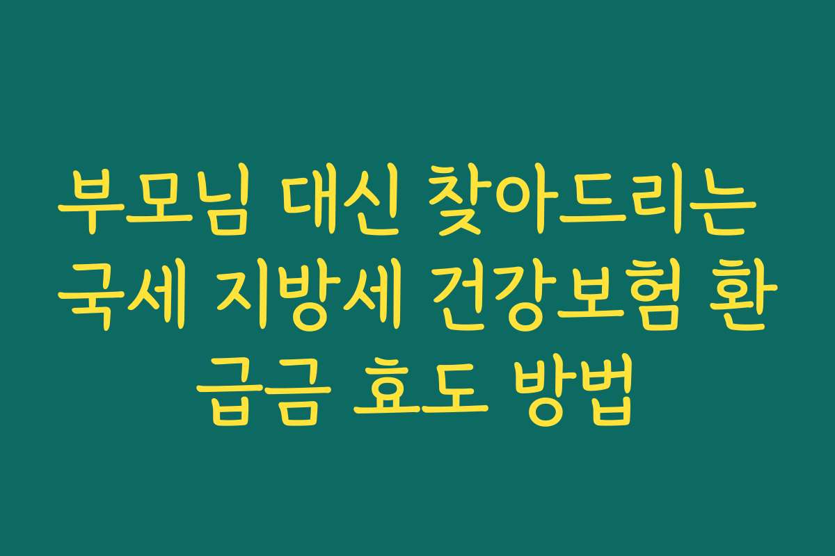 부모님 대신 찾아드리는 국세 지방세 건강보험 환급금 효도 방법