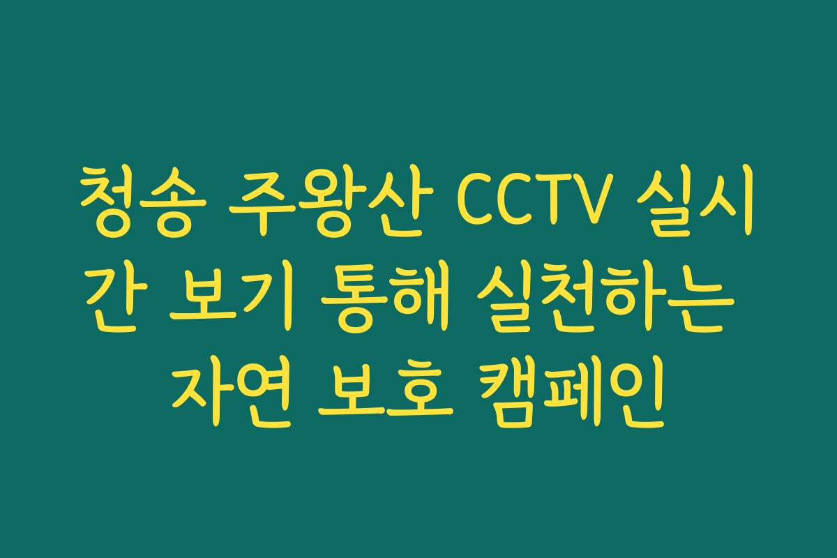 청송 주왕산 CCTV 실시간 보기 통해 실천하는 자연 보호 캠페인