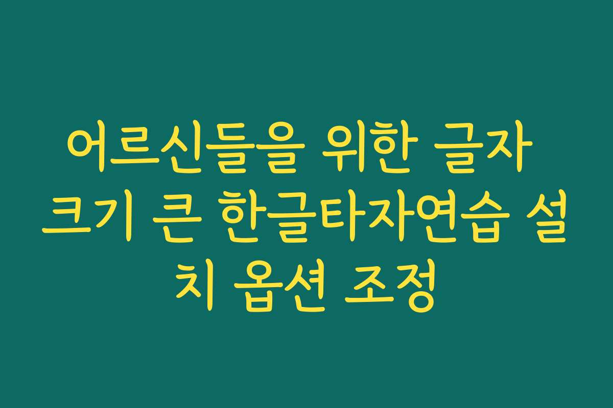 어르신들을 위한 글자 크기 큰 한글타자연습 설치 옵션 조정