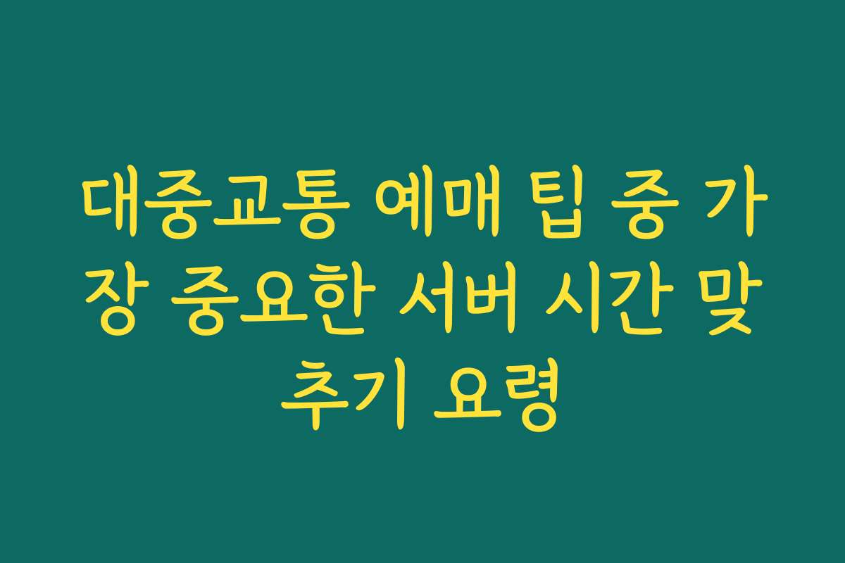 대중교통 예매 팁 중 가장 중요한 서버 시간 맞추기 요령