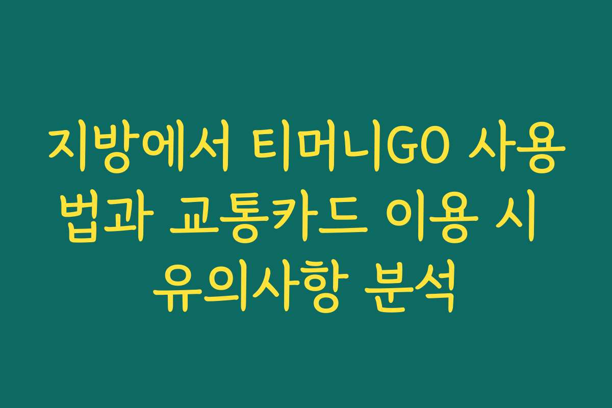 지방에서 티머니GO 사용법과 교통카드 이용 시 유의사항 분석