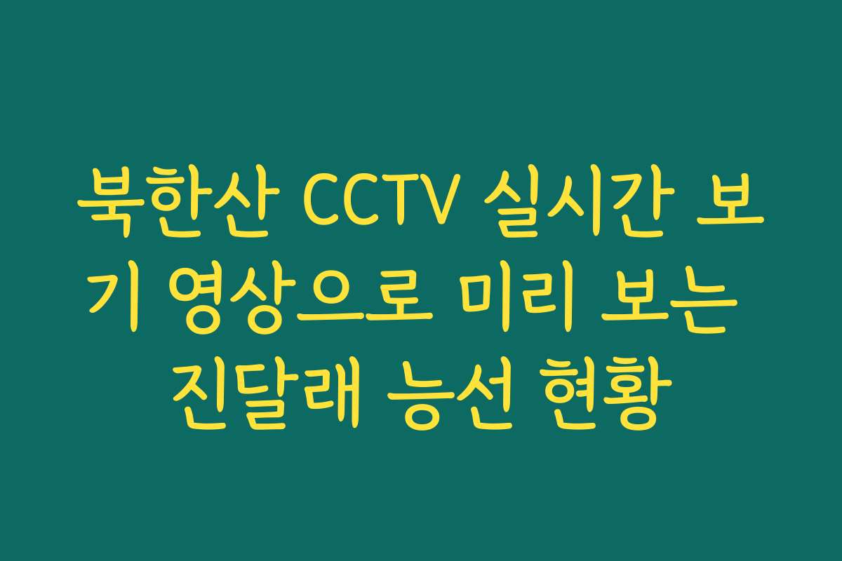 북한산 CCTV 실시간 보기 영상으로 미리 보는 진달래 능선 현황